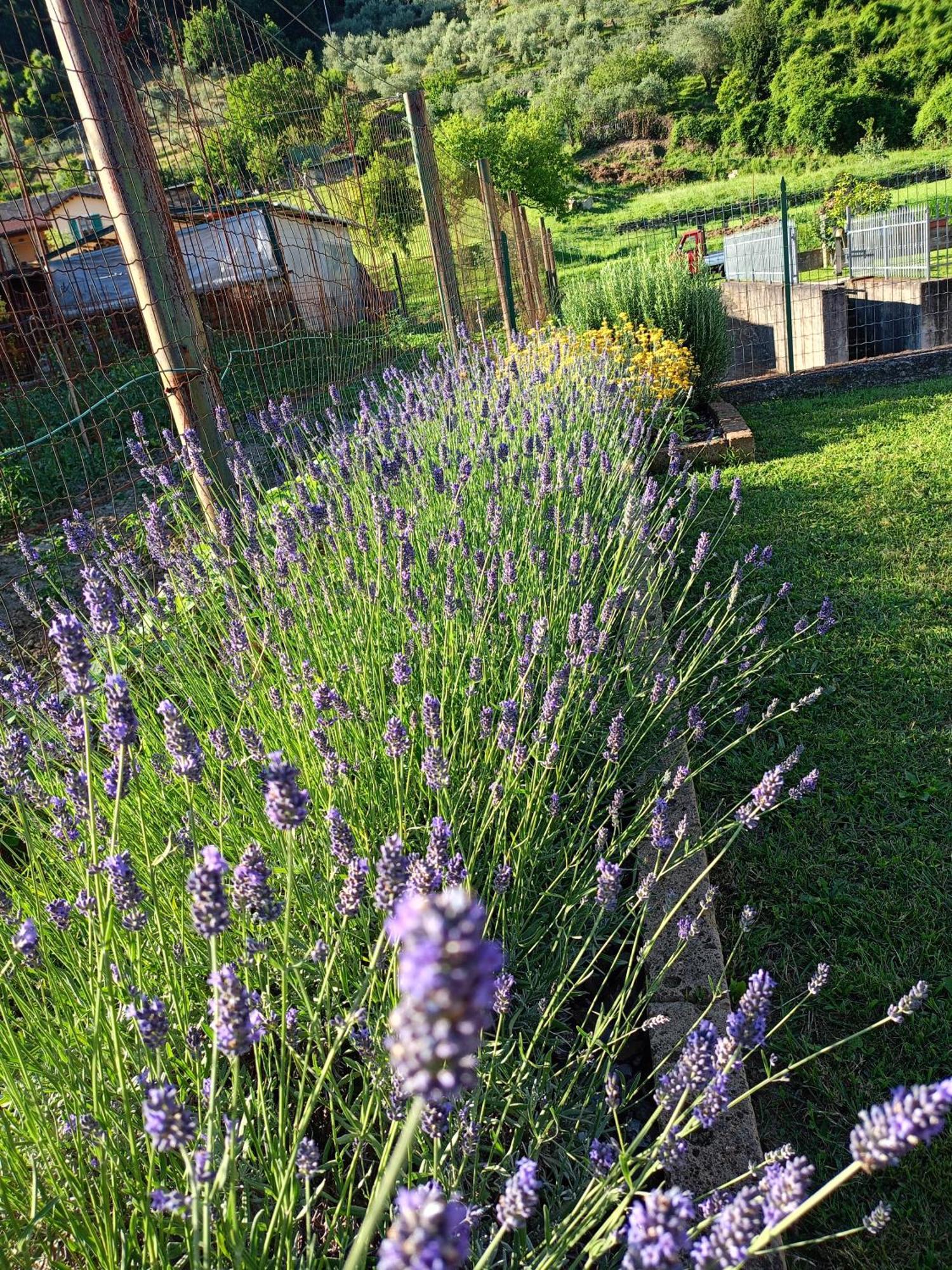 Casa Vacanze La Cicala Pontremoli Exterior photo